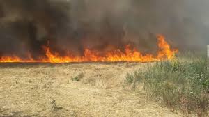 Incendie à Flic-en-Flac, 30 hectares à la proie des flammes maîtrisés