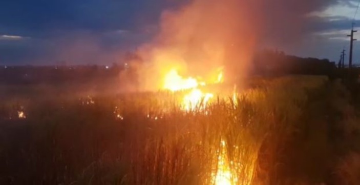 Autoroute de  Forbach : Incendie dans un champ de canne