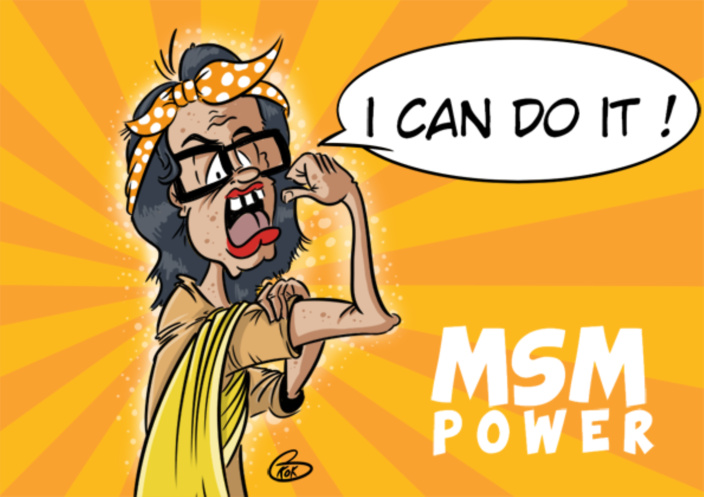[KOK] Le dessin du jour : MSM Power !