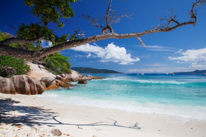 Seychelles : Un guide au programme scolaire sur le réchauffement climatique