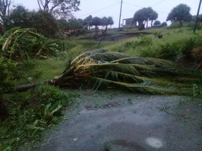 [Diaporama] Le cyclone intense GELENA ravage Rodrigues avec des rafales de 165 km/h