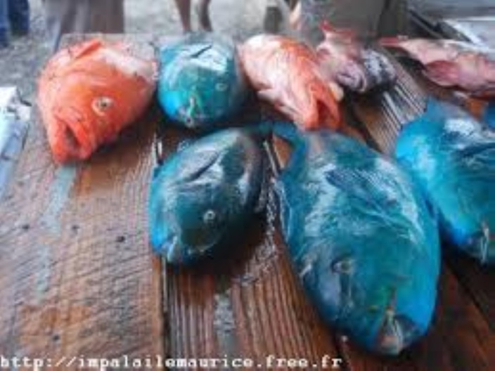 Hausse de la production de poisson