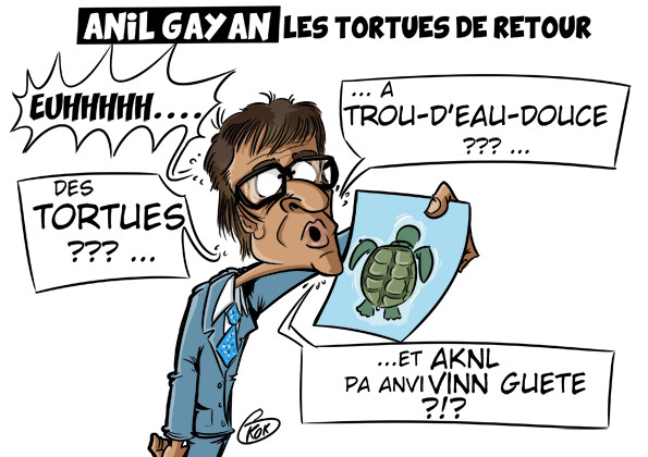 [KOK] Le dessin du jour : Anil Gayan "Les tortues de retour"