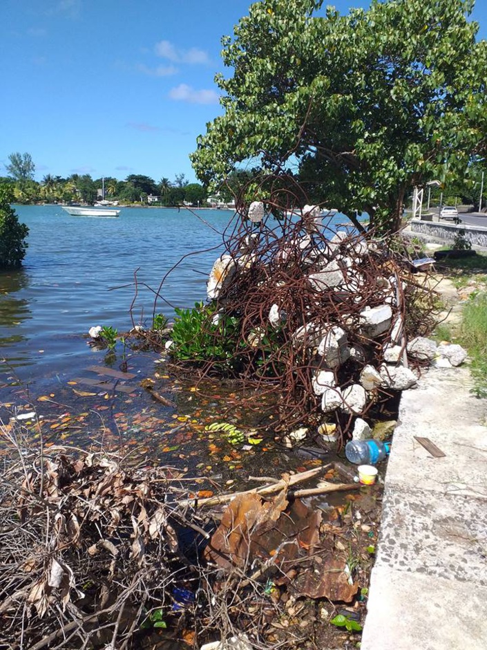 [Diaporama] Des ordures jetées dans les mangroves à Mahébourg. "Pourquoi se gêner?"