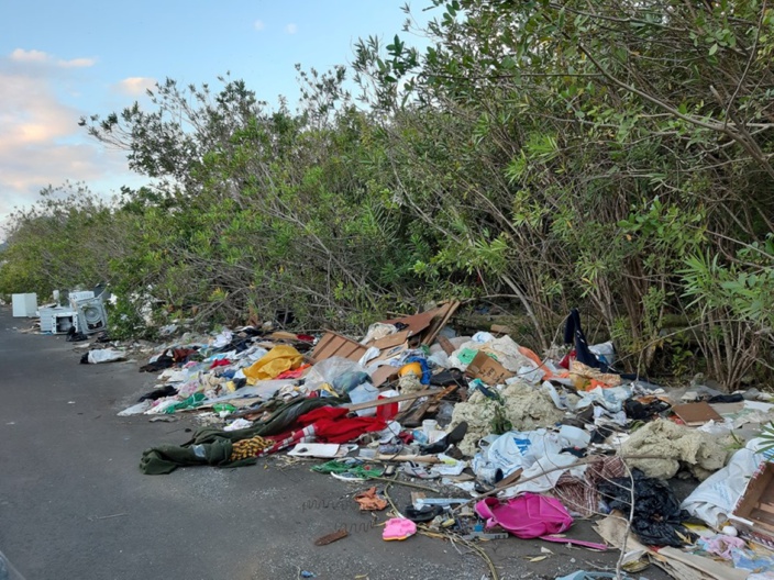 ▶️ Dumping sauvage à Ebène : Le maire et la police de l'Environnement aux abonnés absents