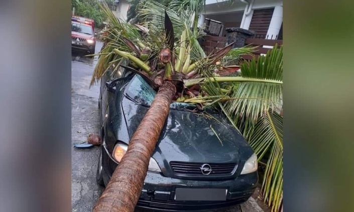 Trou-aux-Biches : Une voiture neuve se retrouve avec un cocotier sur le toit