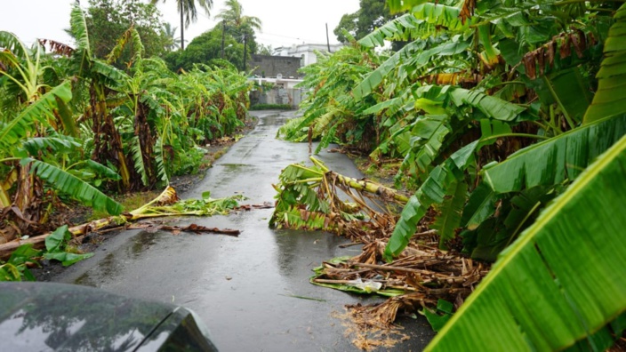 Forte tempête Calvinia : L'île paralysée depuis 24 heures