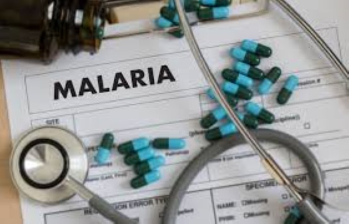 40 cas de malaria recensés en 2019 à Maurice