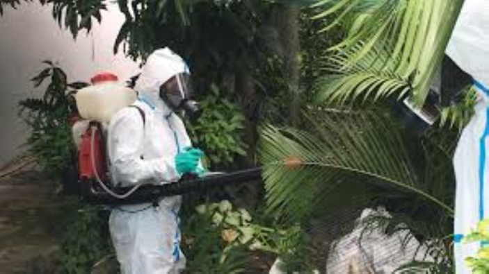 Epidémie de dengue : 130 cas actifs recensés sur l'île