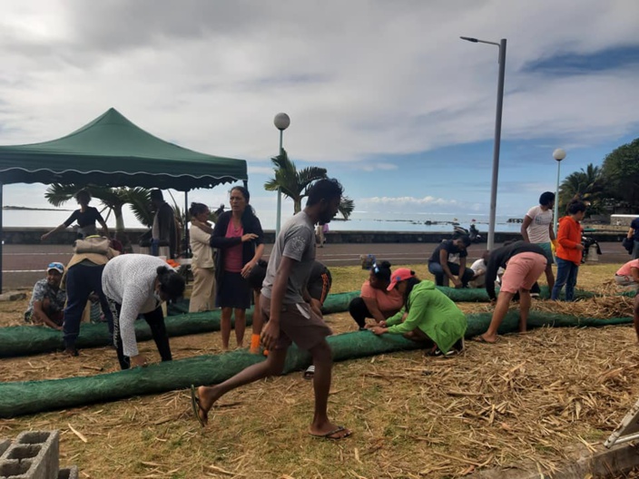 Catastrophe écologique: Mobilisation des Mauriciens dans un élan d'unité nationale