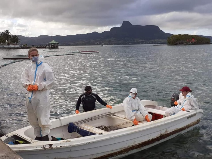 [En images] Mobilisation pour nettoyer le lagon : merci aux Mauriciens