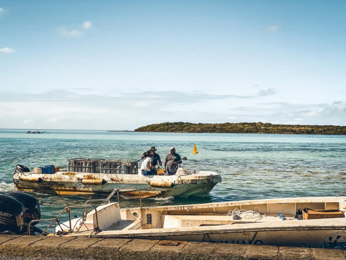 Nettoyage du lagon : le ministère de la Pêche propose Rs 800 aux pêcheurs