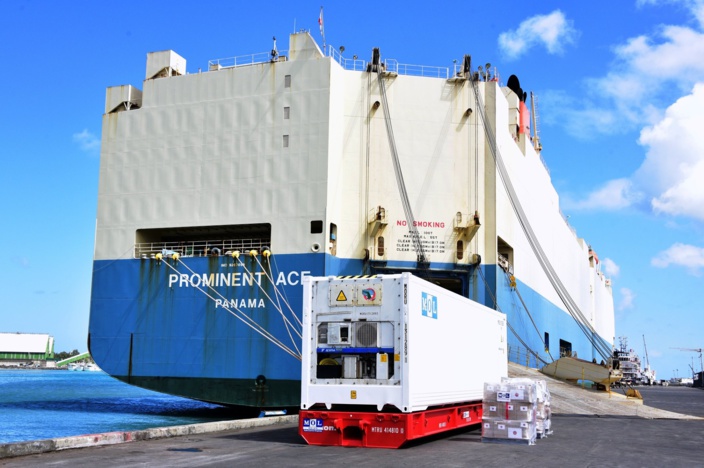 Marée noire : le Japon offre un conteneur frigorifique d'une valeur de Rs 5 millions