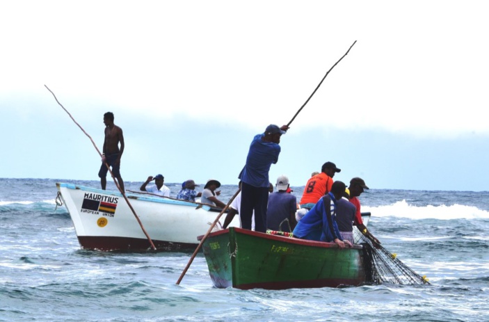 Les opérateurs furieux de la décision d’importer 400 tonnes de poisson