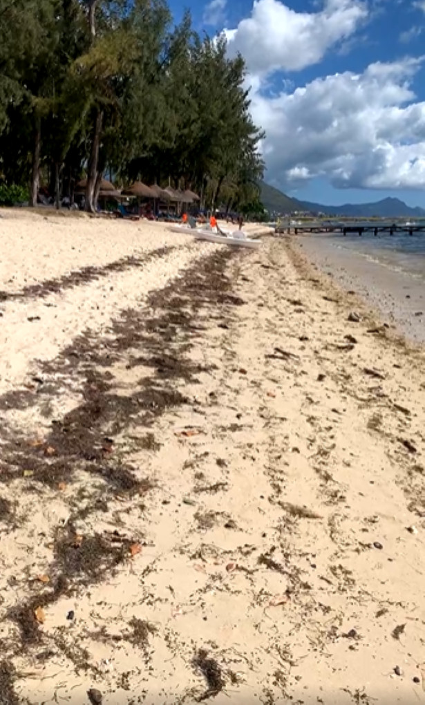 [Vidéo] La plage de Flic-en-Flac est une honte !