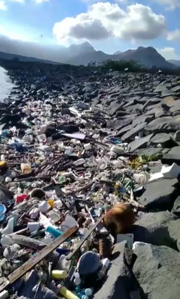 [Vidéo] Des vagues de déchets plastiques déferlent aux Salines 