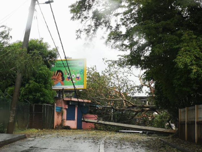 En images, le cyclone intense Batsirai: arbres déracinés, panneaux arrachés, routes obstruées