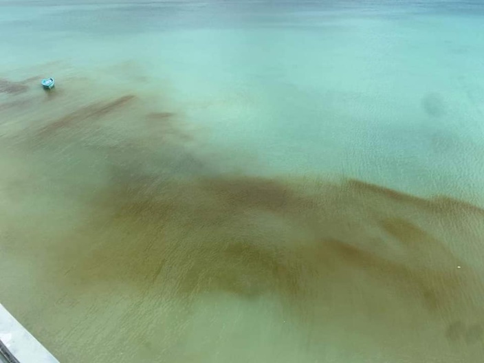 Des traces d'huile aperçues dans le lagon de Baie du Tombeau : les autorités affirment qu'il n'y en pas