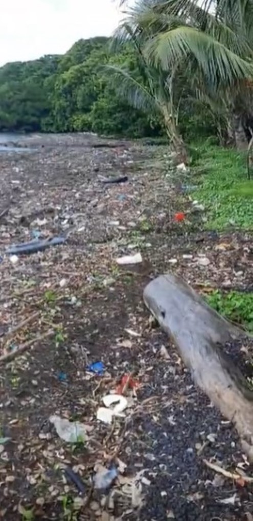 [Vidéo] A Rivière des Créoles, sac en plastique, bouteilles vides et autres joyeusetés