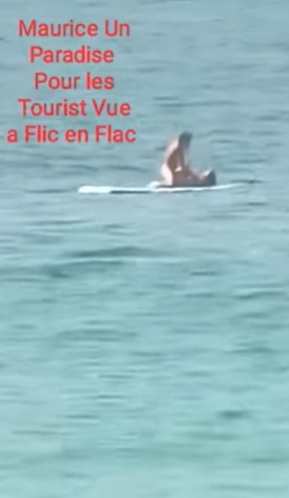 Un couple surpris en pleins ébats sexuels sur une planche de paddle en pleine mer (vidéo)