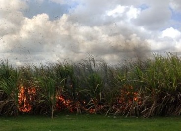 [Dossier] Incendies en série  : feux de végétation volontaires ?