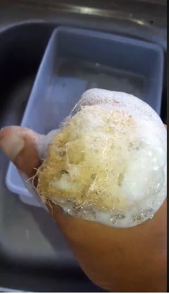 [Gael Soupe] : Une éponge écologique : Le Sponge gourd ou Luffa ! (Vidéo)