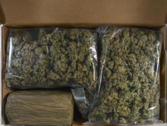 Mahébourg : Saisie de deux kilos de cannabis estimé à Rs 1, 3 million.
