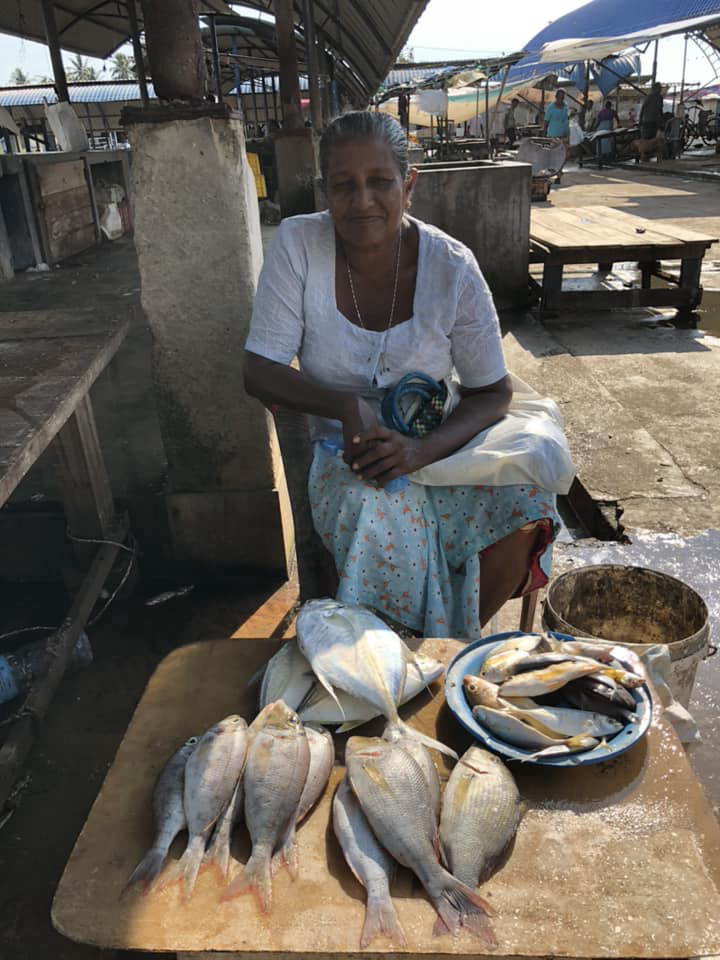 Fish market à Negombo.
