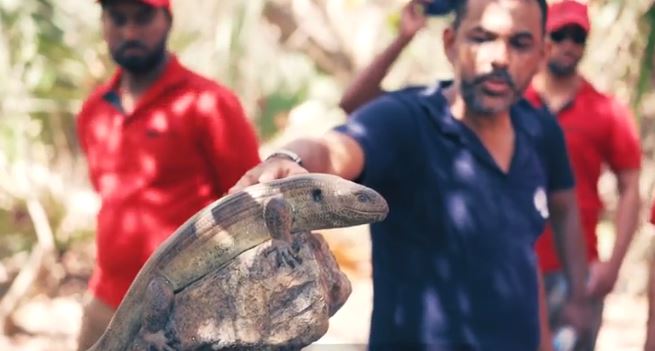 [Vidéo] Une journée à l’île aux Aigrettes avec la Mauritian Wildlife Foundation
