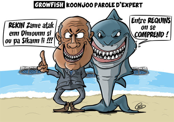 [KOK] Le dessin du jour : Growfish, Koojoo parole d'expert