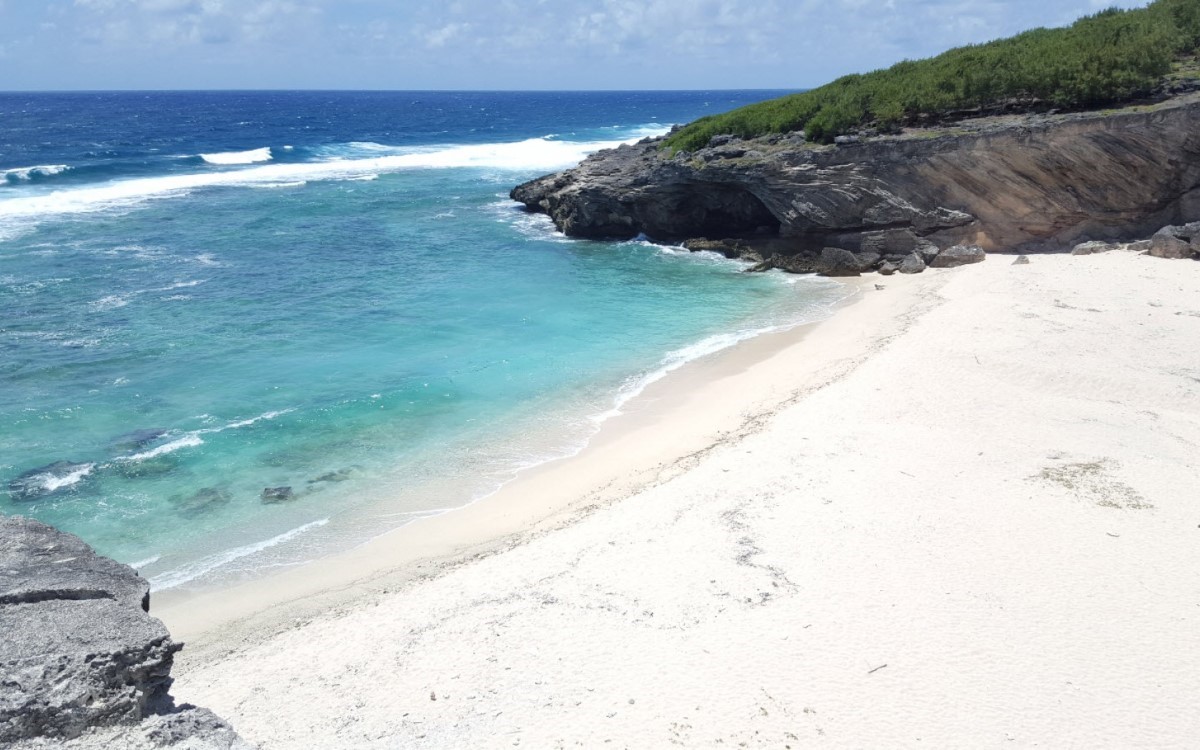 Rodrigues île durable : Après les sacs en plastique, les boîtes à repas en polyéthylène seront prochainement bannis