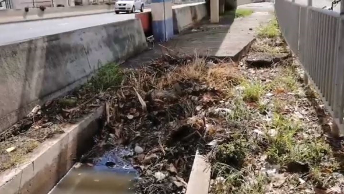 [Vidéo] Eau stagnante et drains bouchés sur l'autoroute M1 à Pailles