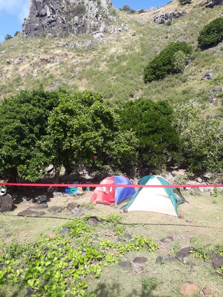 Trésor à Rodrigues : Les miltants du MIR menottés avec l'obligation d'enlever leurs tentes