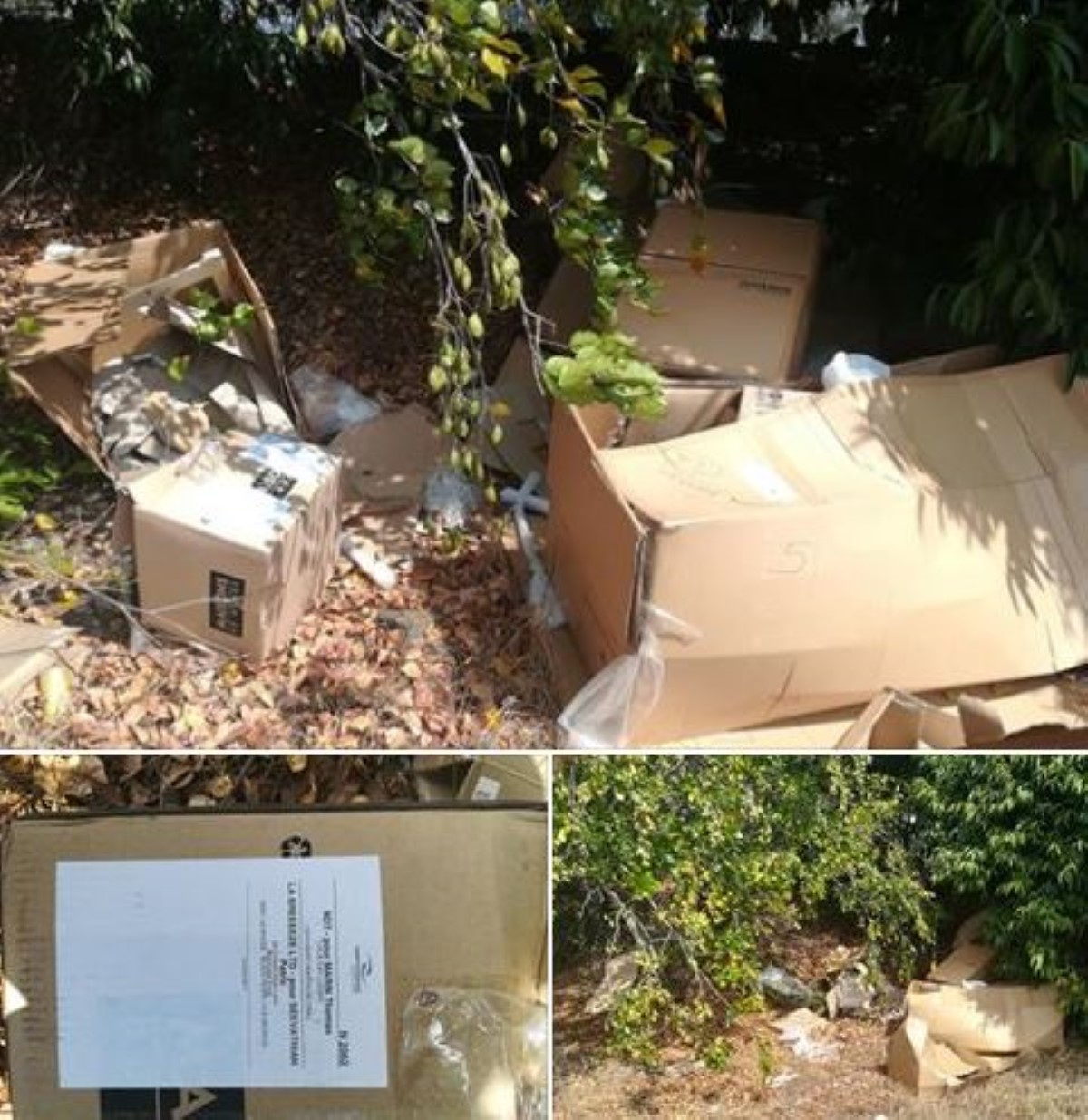 Dumping sauvage à Tamarin : Que fait la police de l'Environnement ?