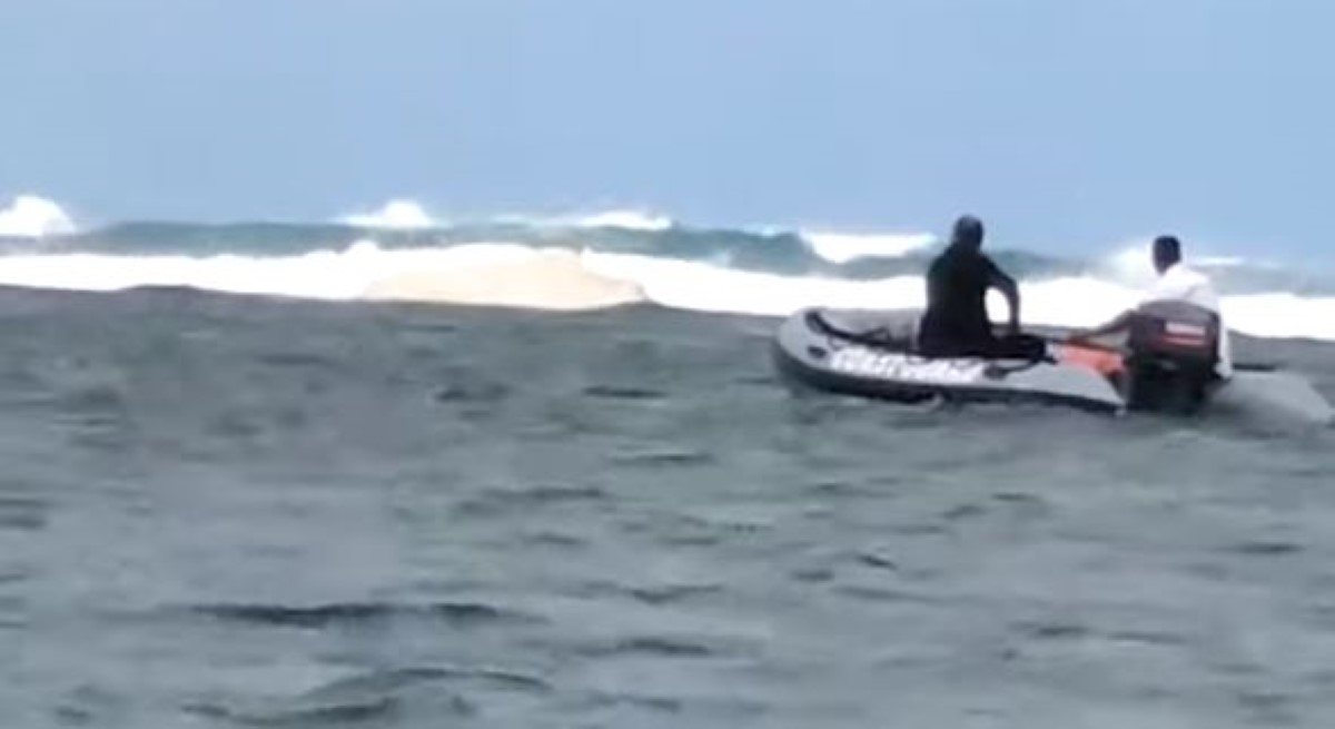 Un cachalot s’échoue dans le lagon de Bel-Ombre : sauvetage en cours