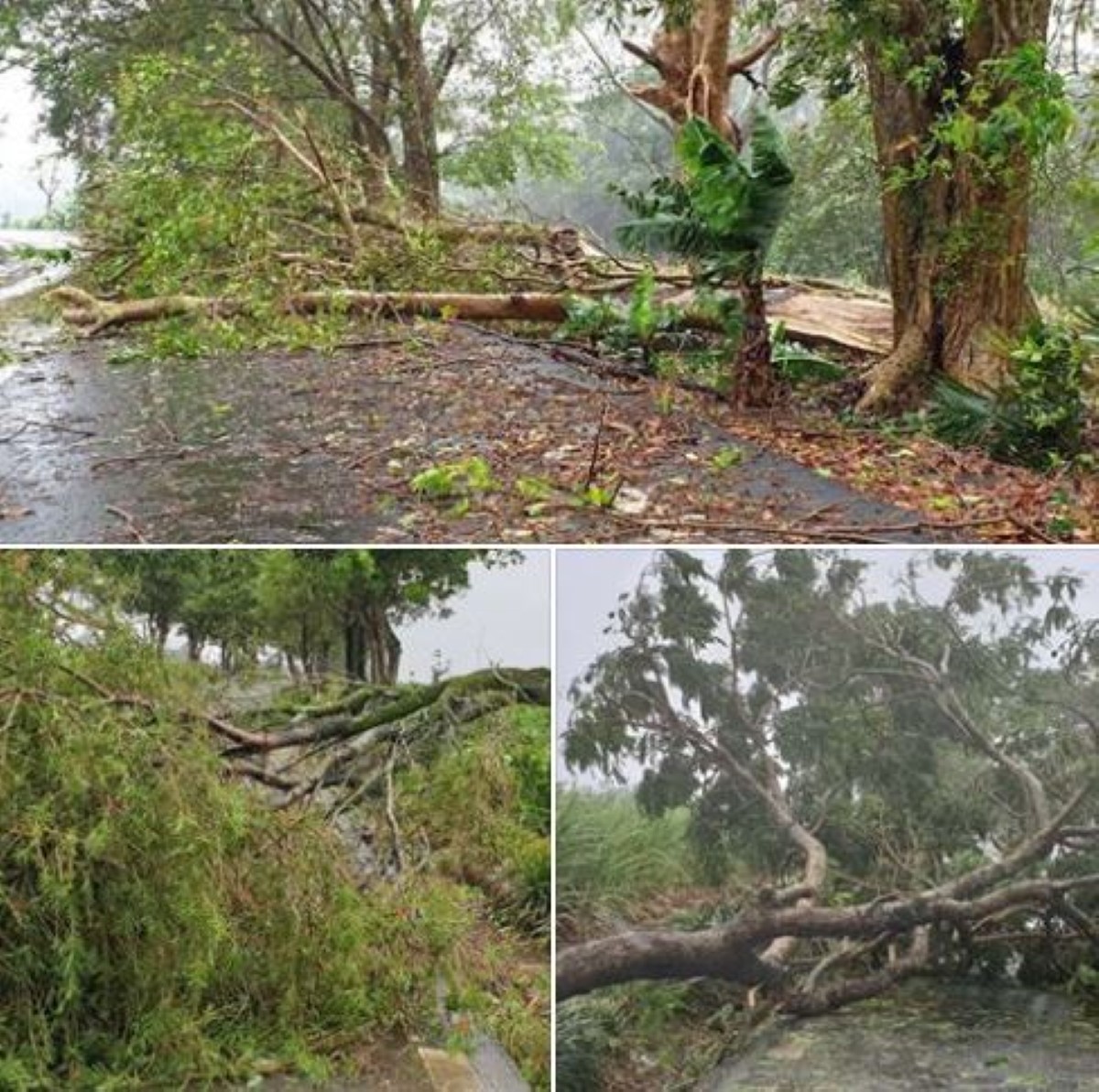 Forte tempête Calvinia : 3 350 foyers privés d'électricité et 335 personnes dans les centres de refuge