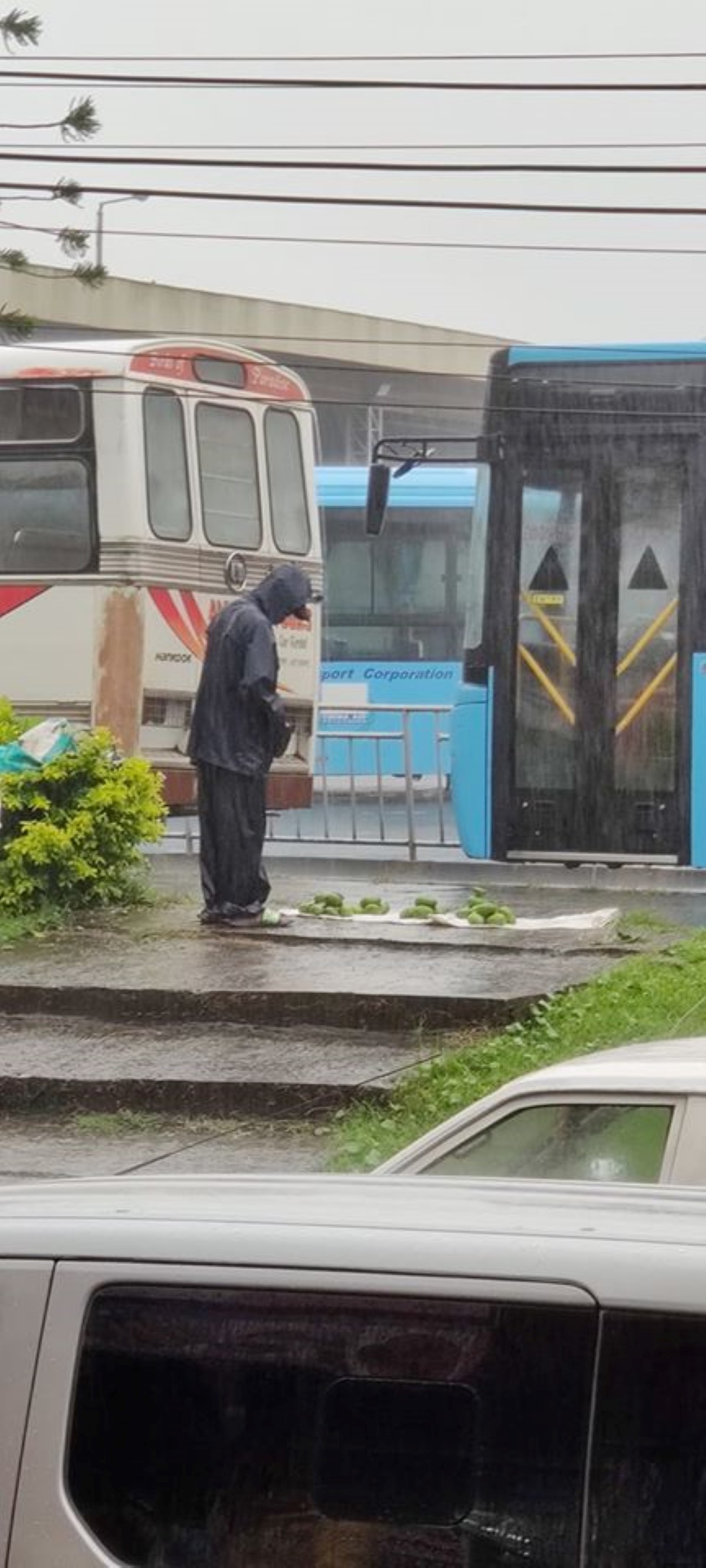 L'image du jour : A St-Pierre, sous la pluie, il vend ses mangues sur le trottoir