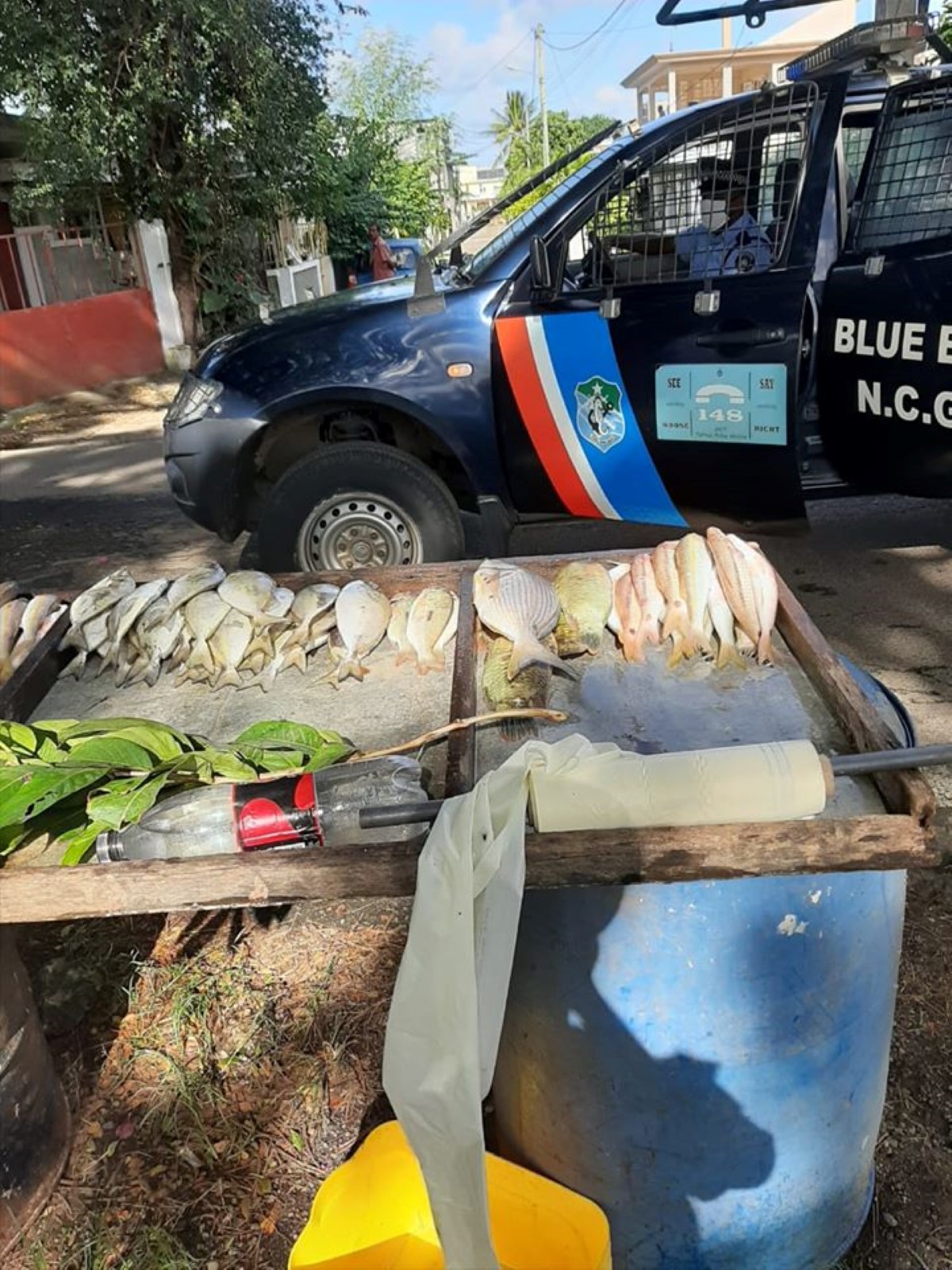 Plaine-Magnien : un homme arrêté pour la vente de pêche illégale 