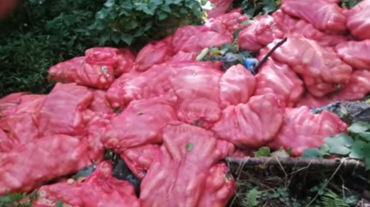 📷 Des centaines de kilos de légumes jetés près du réservoir de Mare Longue