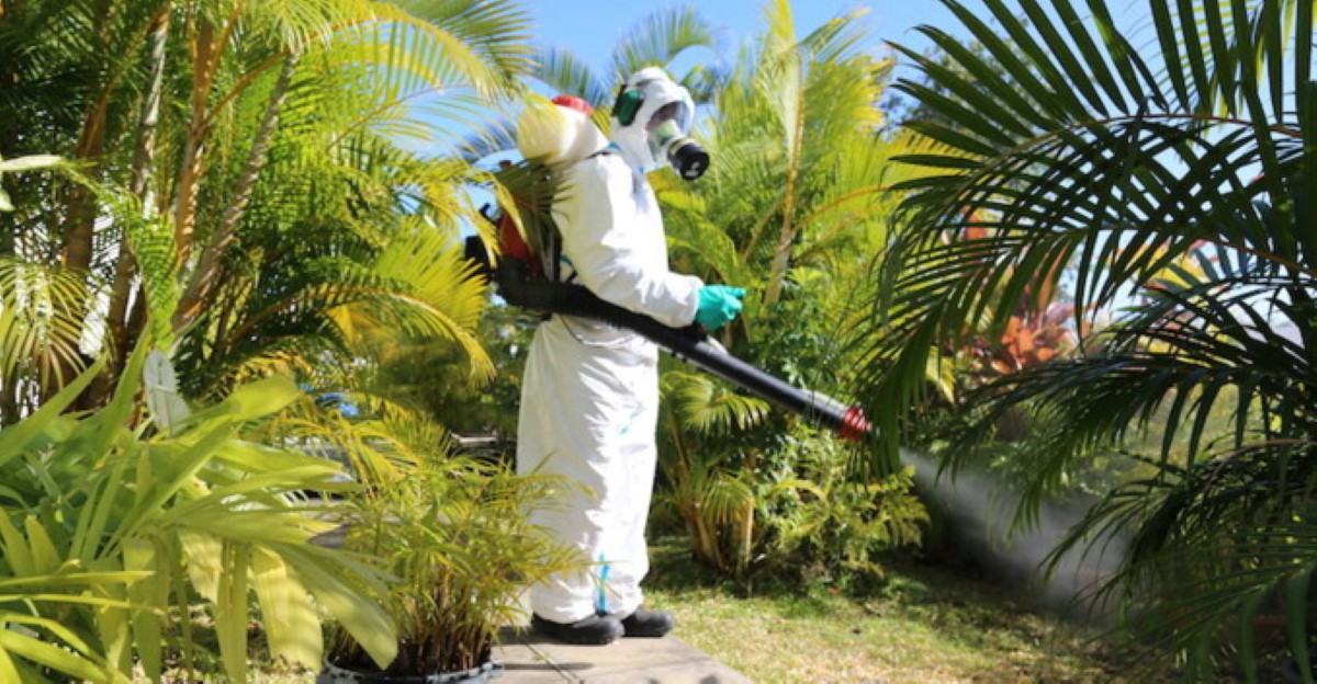Epidémie de dengue : 190 cas actifs recensés sur l'île