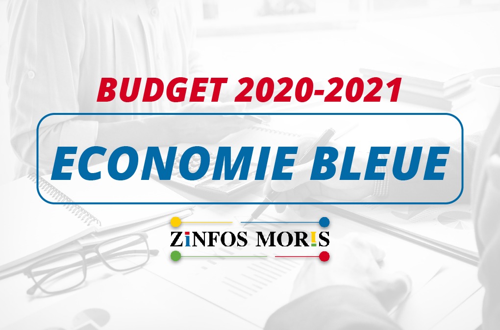 [Budget 2020-2021] Rs 2,2 milliards pour la construction d’une digue, d’un port de pêche et un terminal pour bateaux de croisière
