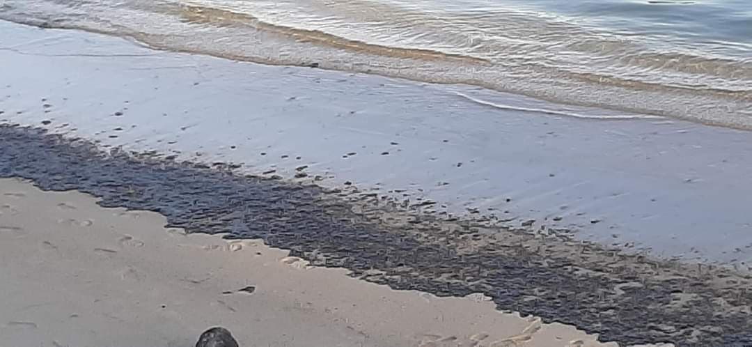 La plage de Blue Bay souillée par la marée noire