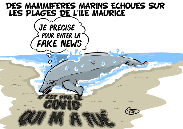 [KOK] Le dessin du jour : Des mammifères marins échoués sur les plages de l'île Maurice