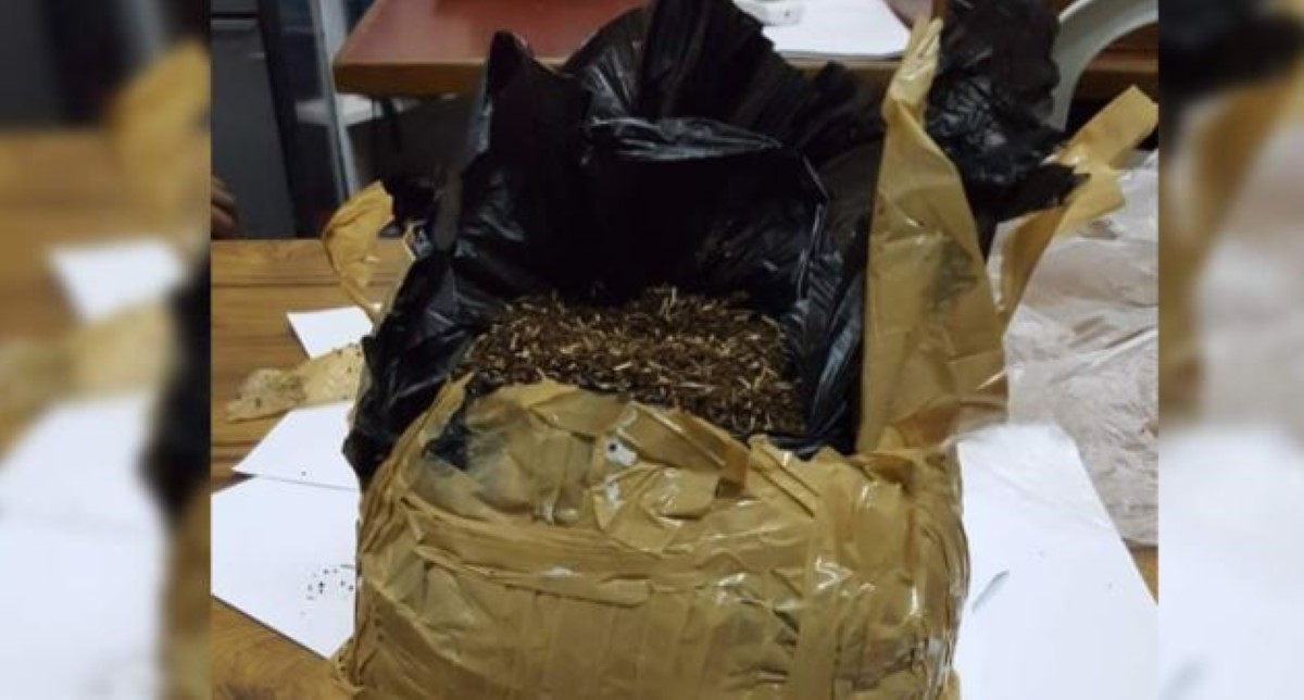Au Port : un employé de la Cargo Handling Corporation intercepté avec Rs 10 millions de drogue