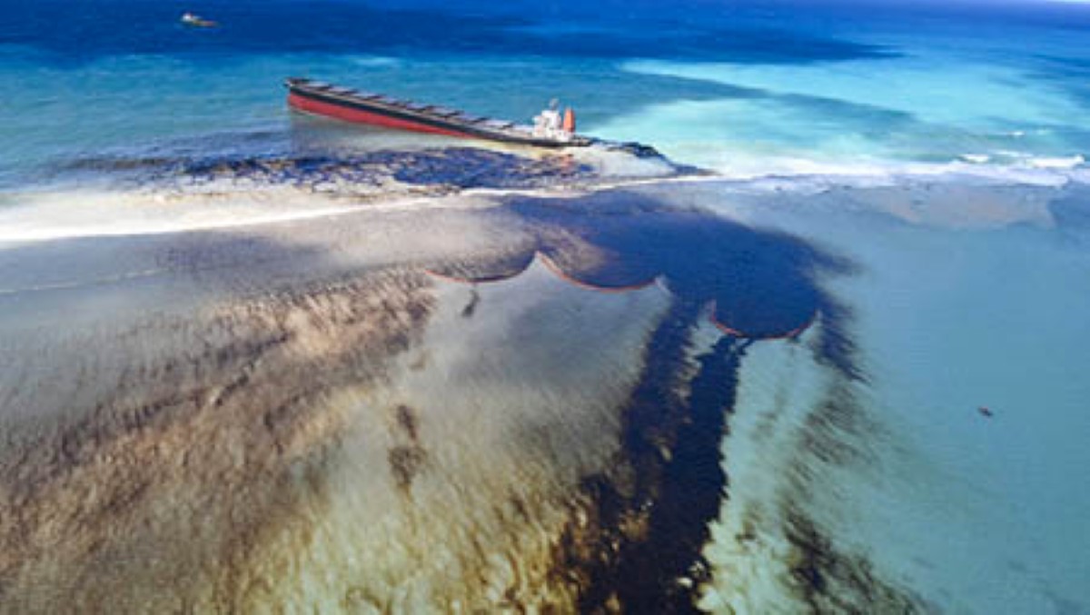 Naufrage du Wakashio : Un an depuis la pire marée noire de l'Histoire de l'île Maurice
