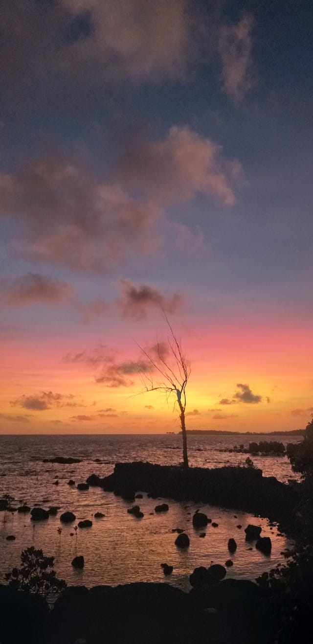 [En images] Le panache de l’éruption aux Tonga offre le spectacle dans le ciel mauricien