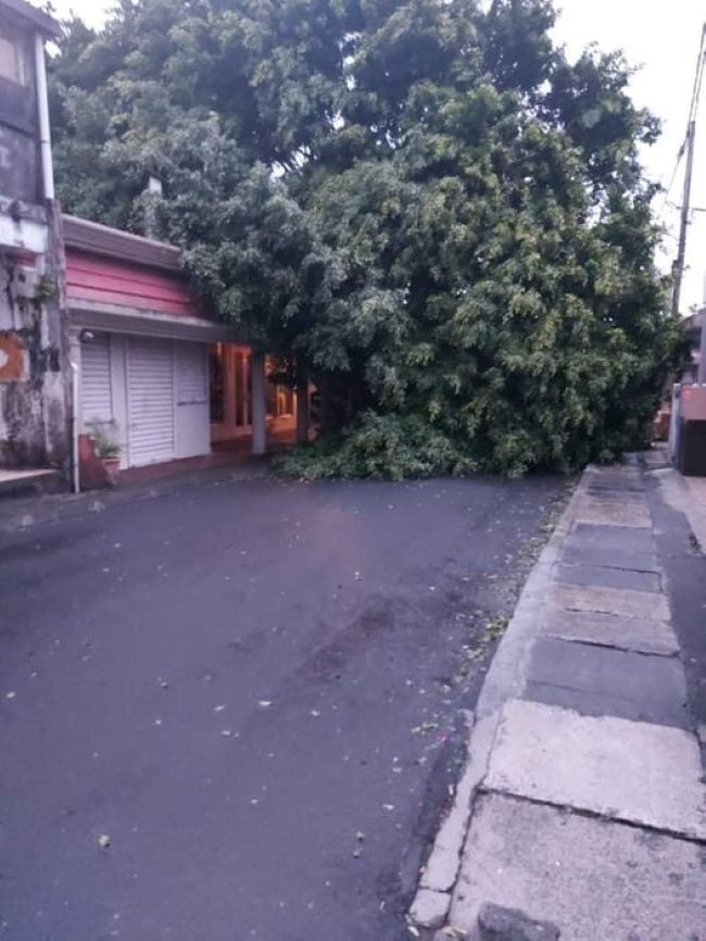 Post-tropical cyclone Batsirai : 2 500 foyers mauriciens privés d’électricité