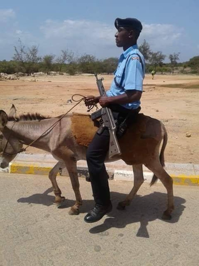 A police force of mostly good people led by donkeys in senior positions...