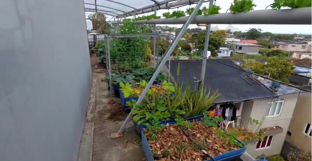 [Vidéo] A la découverte du jardin suspendu de Sanjeev Nundran