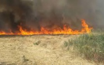 Incendie à Flic-en-Flac, 30 hectares à la proie des flammes maîtrisés